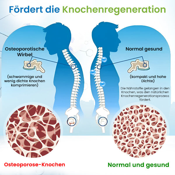 AEXZR™ Knochenregenerations-Essenz