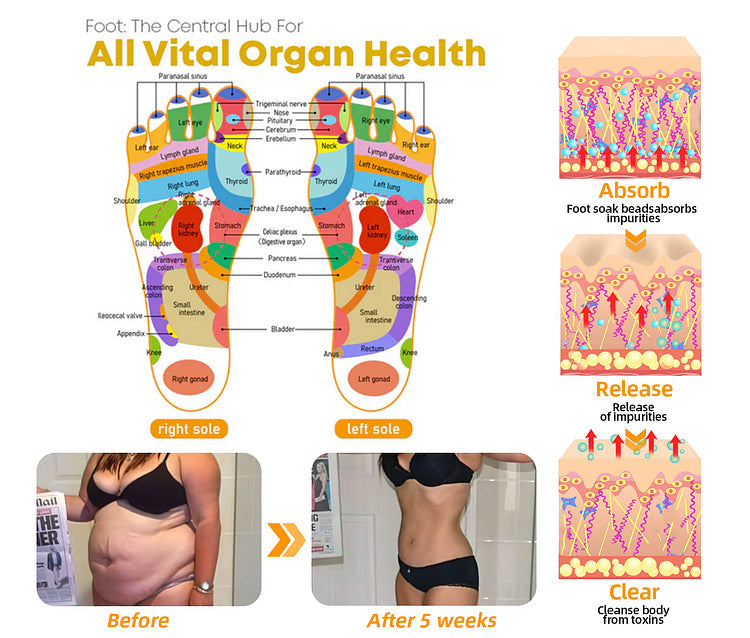 2024 HEISSER VERKAUF🔥AEXZR™ Kräuter-Meridian Unclogging Lymphatic Detox Schlankheits Fußbad Perlen🔥