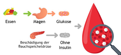 AEXZR™ Diabetes-Fußpads